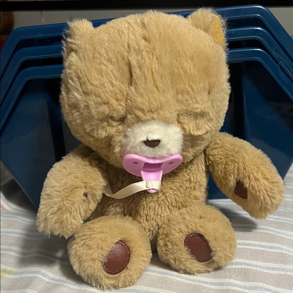 Little Live Bear with Pink Pacifier